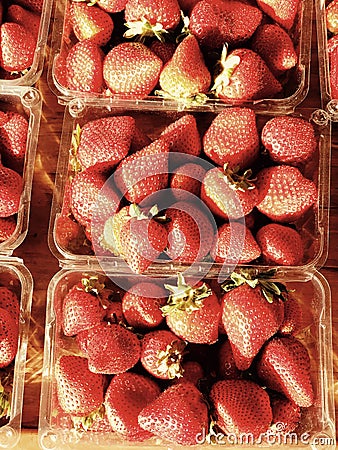 Small packs of Ohio strawberries are the perfect summer treat Stock Photo